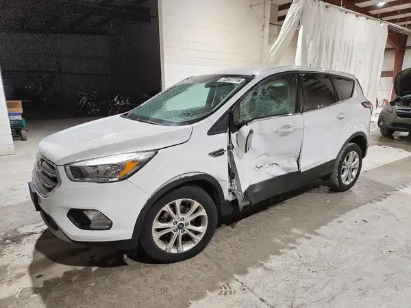 1FMCU0GD1HUE51383 2017 FORD ESCAPE - Image 1
