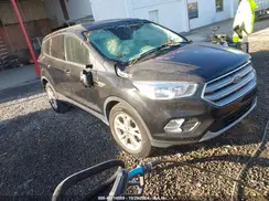 1FMCU0GD1KUA07539 2019 FORD ESCAPE