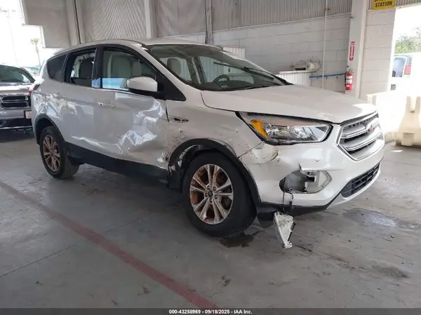 1FMCU0GD1KUA67983 2019 FORD ESCAPE - Image 1