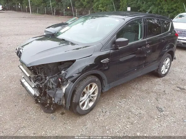 1FMCU0GD1KUA77817 2019 FORD ESCAPE - Image 2