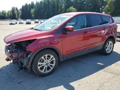 1FMCU0GD1KUB01162 2019 FORD ESCAPE