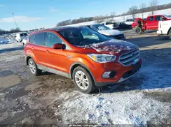 1FMCU0GD1KUB78159 2019 FORD ESCAPE