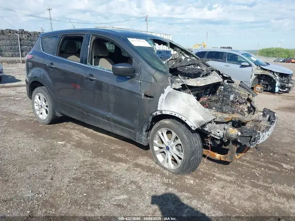 1FMCU0GD2HUA40316 2017 FORD ESCAPE - Image 1