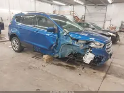 1FMCU0GD2HUC10979 2017 FORD ESCAPE