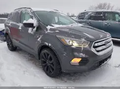 1FMCU0GD2KUA38329 2019 FORD ESCAPE