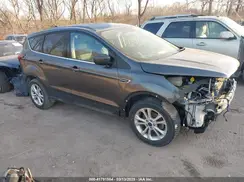 1FMCU0GD2KUA40307 2019 FORD ESCAPE