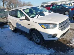 1FMCU0GD2KUA51890 2019 FORD ESCAPE