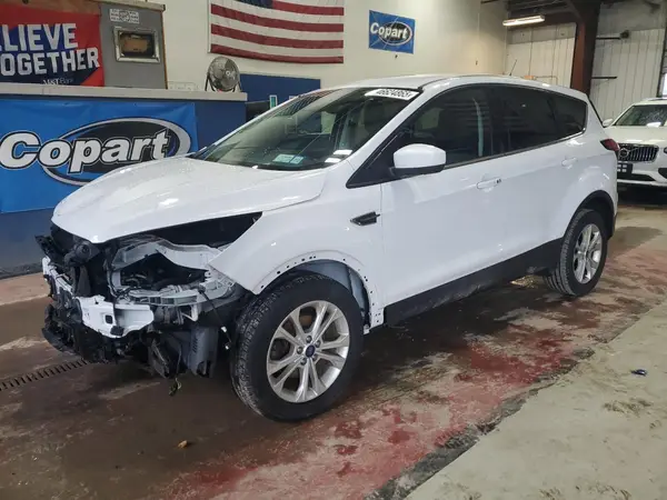1FMCU0GD2KUA94416 2019 FORD ESCAPE - Image 1