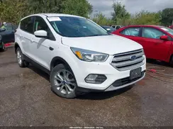 1FMCU0GD2KUB10761 2019 FORD ESCAPE