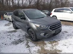 1FMCU0GD2KUB29729 2019 FORD ESCAPE