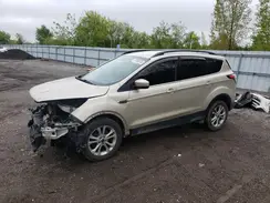 1FMCU0GD3HUC04981 2017 FORD ESCAPE