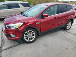 1FMCU0GD3KUB49388 2019 FORD ESCAPE