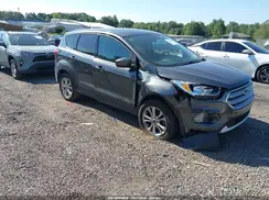 1FMCU0GD3KUB84559 2019 FORD ESCAPE