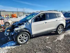 1FMCU0GD4HUA77786 2017 FORD ESCAPE