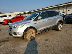 1FMCU0GD4HUE06678 2017 FORD ESCAPE