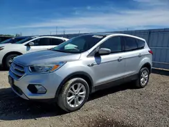 1FMCU0GD4KUA31253 2019 FORD ESCAPE