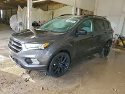 1FMCU0GD4KUA50160 2019 FORD ESCAPE