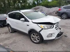 1FMCU0GD4KUB29439 2019 FORD ESCAPE