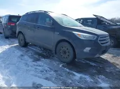 1FMCU0GD5HUA70944 2017 FORD ESCAPE