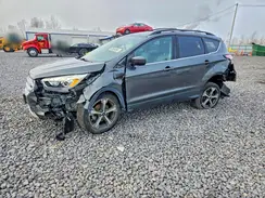 1FMCU0GD5HUD17492 2017 FORD ESCAPE