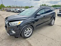 1FMCU0GD5HUE22503 2017 FORD ESCAPE