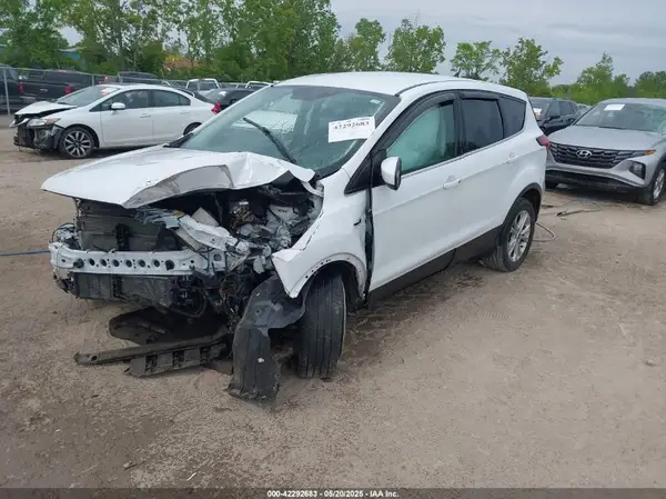 1FMCU0GD5KUA39524 2019 FORD ESCAPE - Image 2
