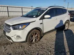 1FMCU0GD5KUB62465 2019 FORD ESCAPE
