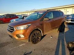 1FMCU0GD6HUA79295 2017 FORD ESCAPE