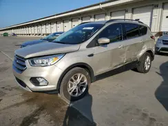 1FMCU0GD6HUC22410 2017 FORD ESCAPE