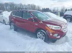 1FMCU0GD6KUC58265 2019 FORD ESCAPE