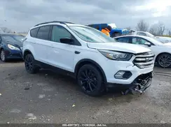 1FMCU0GD7HUA79953 2017 FORD ESCAPE