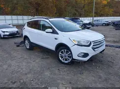 1FMCU0GD7HUB05256 2017 FORD ESCAPE
