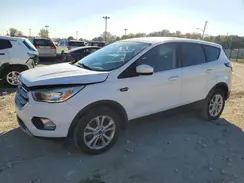 1FMCU0GD7HUE05007 2017 FORD ESCAPE