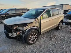 1FMCU0GD7HUE23202 2017 FORD ESCAPE