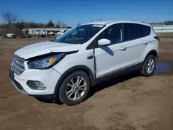 1FMCU0GD7KUA14480 2019 FORD ESCAPE