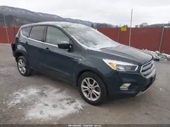 1FMCU0GD7KUA59967 2019 FORD ESCAPE