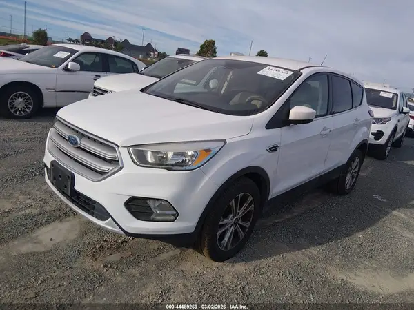 1FMCU0GD7KUB31363 2019 FORD ESCAPE - Image 2