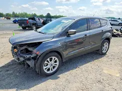 1FMCU0GD7KUB62466 2019 FORD ESCAPE