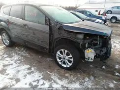 1FMCU0GD7KUC35531 2019 FORD ESCAPE