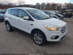 1FMCU0GD8HUA29871 2017 FORD ESCAPE