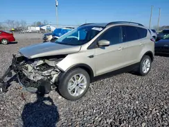1FMCU0GD8HUB59407 2017 FORD ESCAPE