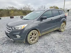 1FMCU0GD8KUA22748 2019 FORD ESCAPE