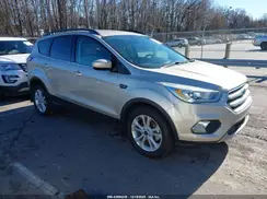 1FMCU0GD9HUB56581 2017 FORD ESCAPE