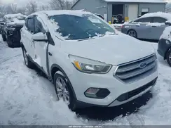 1FMCU0GD9HUB83005 2017 FORD ESCAPE
