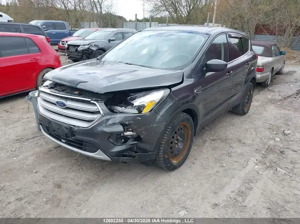1FMCU0GD9KUB36273 2019 FORD ESCAPE - Image 2