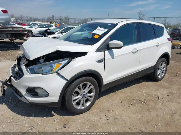 1FMCU0GD9KUC49513 2019 FORD ESCAPE - Image 2