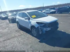 1FMCU0GDXHUE44058 2017 FORD ESCAPE
