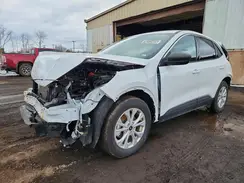 1FMCU0GN0RUA86284 2024 FORD ESCAPE