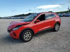 1FMCU0GN2RUB45738 2024 FORD ESCAPE