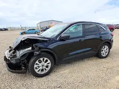 1FMCU0GN7RUB26053 2024 FORD ESCAPE
